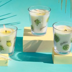 Citronella-Kerzen Bastelset - DIY-Mückenschutz einfach selber machen.