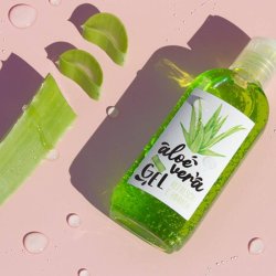 Kit zur Herstellung von hausgemachtem Aloe Vera Gel. Online-Verkauf