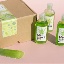 Kit zur Herstellung von hausgemachtem Aloe Vera Gel. Online-Verkauf