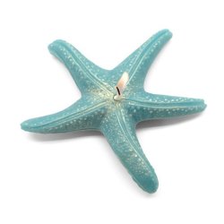 Sea Star Form zur Herstellung von Kerzen.