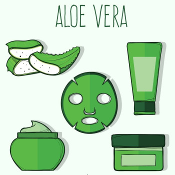 Koncentrovaný Aloe vera gél. Online predaj.